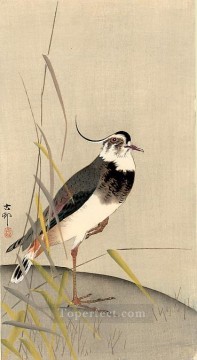 鳥 Painting - セキレイ 大原古邨鳥
